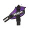 Julius-K9 JuliusK9 IDC Powerharness Size 2XL3 Dark Purple