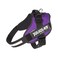 Julius-K9 JuliusK9 IDC Powerharness Size 2XL3 Dark Purple