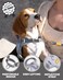 DF No Pull Stepin Martingale Dog Harness Help Stop Pulling Choking Reflective Adjustable Front Clip Harness with Lift Handle Tactical Silent Metal Buckle Gray 34 Front Chest 118130