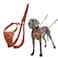 Halti No Pull Harness Stop Your Dog Pulling on The Leash Adjustable Lightweight and Easy to Use Reflective Dog Training Harness for Large Dogs Size L Burnt Orange