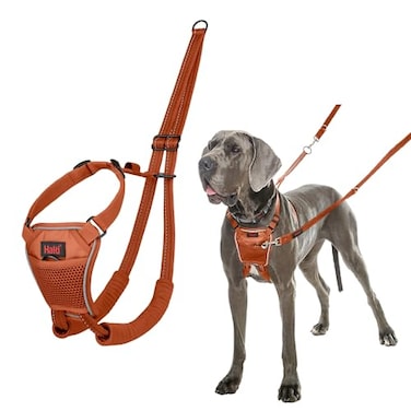 Halti No Pull Harness Stop Your Dog Pulling on The Leash Adjustable Lightweight and Easy to Use Reflective Dog Training Harness for Large Dogs Size L Burnt Orange