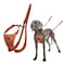 Halti No Pull Harness Stop Your Dog Pulling on The Leash Adjustable Lightweight and Easy to Use Reflective Dog Training Harness for Large Dogs Size L Burnt Orange