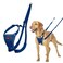 Halti No Pull Harness Stop Your Dog Pulling on The Leash Adjustable Lightweight and Easy to Use Reflective Dog Training Harness for Medium Dogs Size M Cobalt Blue