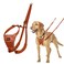 Halti No Pull Harness Stop Your Dog Pulling on The Leash Adjustable Lightweight and Easy to Use Reflective Dog Training Harness for Medium Dogs Size M Burnt Orange