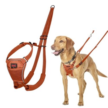 Halti No Pull Harness Stop Your Dog Pulling on The Leash Adjustable Lightweight and Easy to Use Reflective Dog Training Harness for Medium Dogs Size M Burnt Orange