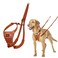 Halti No Pull Harness Stop Your Dog Pulling on The Leash Adjustable Lightweight and Easy to Use Reflective Dog Training Harness for Medium Dogs Size M Burnt Orange