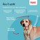Halti No Pull Harness Stop Your Dog Pulling on The Leash Adjustable Lightweight and Easy to Use Reflective Dog Training Harness for Toy and Small Dogs Size XS Black