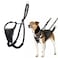 Halti No Pull Harness Stop Your Dog Pulling on The Leash Adjustable Lightweight and Easy to Use Reflective Dog Training Harness for Toy and Small Dogs Size XS Black