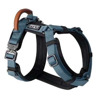 MADE TO ROAM Premium Explorer Harness YShaped Dog Harness with Adjustable Durable Nylon Soft Padding Metal Buckles and Leather Handle for Small Medium Large Dogs California Horizon Size 1