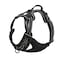TRUE LOVE Adjustable NoPull Dog Harness Reflective Pup Vest Harnesses Comfortable Control Brilliant Colors TLH5651BlackL