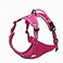 TRUE LOVE Adjustable NoPull Dog Harness Reflective Pup Vest Harnesses Comfortable Control Brilliant Colors TLH5651FushciaXS