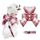 AXIIJGL Dog Harness for Small Dogs With Bow and DRing Soft Mesh Adjustable Set for Girl Puppies Pet Harness and Leash