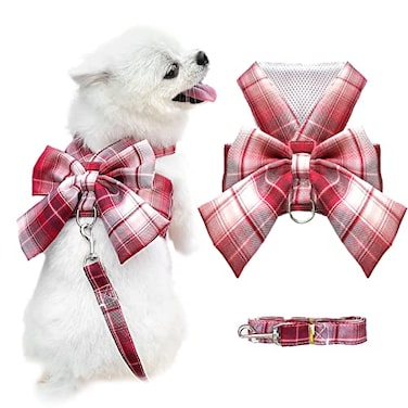 AXIIJGL Dog Harness for Small Dogs With Bow and DRing Soft Mesh Adjustable Set for Girl Puppies Pet Harness and Leash
