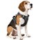 Timos No Pull Dog Harness Release at Neck Reflective 3 Snap Buckles Adjustable No Choke Pet Vest with Front Back 2 Leash Clips Soft Padded Control Training Handle for Small Medium Large Dogs
