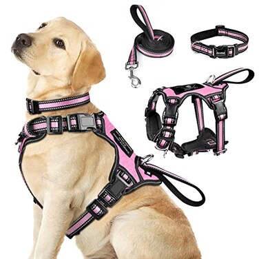 WINSEE Pet Harness Collar and Leash Set Allinone Reflective Dog Harness No Pull with Adjustable Buckles for Puppies Small Medium Large and ExtraLarge Dogs Large Pink