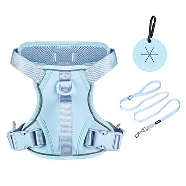 Petmolico Dog Harness for Medium Dogs No Pull Cute Dog Harness with Two Leash Clips and Soft Handle Reflective Easy Walk Dog Harness with Leash Light Blue Medium