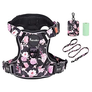 Petmolico No Pull Dog Harness Set with Leash Attachment Easy Control Handle Reflective Harness Vest Small Breed Puppy Vest and Leash Set with Poop Bag Holder Small Pink Rose