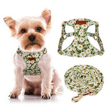 CHEDE No Pull Floral Pattern Dog Harness Lightweight and Soft Harness Adjustable Small Dog Harness and Leash Set with Dog Leash Suitable for Puppy Small and MediumSized Dog XXS Green Daisy