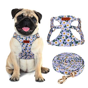 CHEDE No Pull Floral Pattern Dog Harness Lightweight and Soft Harness Adjustable Small Dog Harness and Leash Set with Dog Leash Suitable for Puppy Small and MediumSized Dog S Purple Daisy