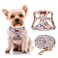 CHEDE No Pull Floral Pattern Dog Harness Lightweight Soft Adjustable Small Harness and Leash Set Suitable for Puppy Small and MediumSized Dog XS Orange Rose