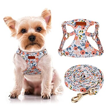 CHEDE No Pull Floral Pattern Dog Harness Lightweight Soft Adjustable Small Harness and Leash Set Suitable for Puppy Small and MediumSized Dog XS Orange Rose