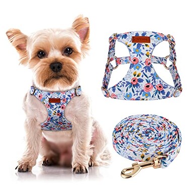CHEDE No Pull Floral Pattern Dog Harness Lightweight and Soft Harness Adjustable Small Dog Harness and Leash Set with Dog Leash Suitable for Puppy Small and MediumSized Dog XS Blue Rose