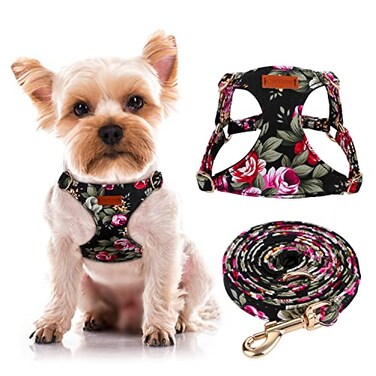 CHEDE No Pull Floral Pattern Dog Harness Lightweight and Soft Harness Adjustable Small Dog Harness and Leash Set with Dog Leash Suitable for Puppy Small and MediumSized Dog