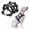 Walktime Dog Harness for Small Medium Large Dogs No Pull Dog Weighted Vest Tactical Dog Harness for Pit Bulls with Pockets Adjustable Weight Weight Loss Exercise Walking Muscle