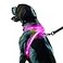 Noxgear LightHound Revolutionary Illuminated and Reflective Harness for Dogs Including Multicolored LED Fiber Optics USB Rechargeable Adjustable Lightweight Rainproof Small