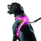 Noxgear LightHound Revolutionary Illuminated and Reflective Harness for Dogs Including Multicolored LED Fiber Optics USB Rechargeable Adjustable Lightweight Rainproof Large