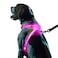Noxgear LightHound Revolutionary Illuminated and Reflective Harness for Dogs Including Multicolored LED Fiber Optics USB Rechargeable Adjustable Lightweight Rainproof Large