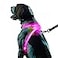 Noxgear LightHound Revolutionary Illuminated and Reflective Harness for Dogs Including Multicolored LED Fiber Optics USB Rechargeable Adjustable Lightweight Rainproof XLarge