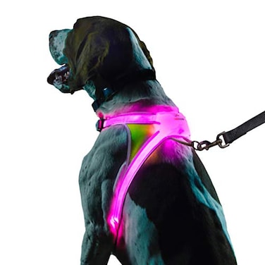 Noxgear LightHound Revolutionary Illuminated and Reflective Harness for Dogs Including Multicolored LED Fiber Optics USB Rechargeable Adjustable Lightweight Rainproof XLarge