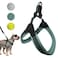 Sporn EasyFit Mesh Dog Harness Medium Sized Dog Turquoise Soft Fabric Nylon No Choke Dog Harness Size Dog Breathable Easy Dog Walking Harness Provides to Medium Breeds