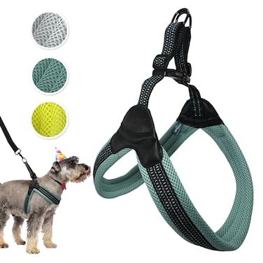 Sporn EasyFit Mesh Dog Harness Medium Sized Dog Turquoise Soft Fabric Nylon No Choke Dog Harness Size Dog Breathable Easy Dog Walking Harness Provides to Medium Breeds