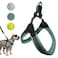 Sporn EasyFit Mesh Dog Harness Medium Sized Dog Turquoise Soft Fabric Nylon No Choke Dog Harness Size Dog Breathable Easy Dog Walking Harness Provides to Medium Breeds