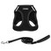 Best Pet Supplies Voyager Stepin Air All Weather Mesh Harness and Reflective Dog 5ft Leash Combo with Neoprene Handle for Small Medium and Large Breed Puppies Set Black Medium