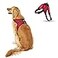 Copatchy No Pull Reflective Adjustable Dog Harness with Handle Comfortable Soft All Weather Mesh Easy On Puppy Harness for Small Medium and Large Dogs Red Large