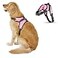 Copatchy No Pull Reflective Adjustable Dog Harness With Handle Comfortable Soft All Weather Mesh Easy On Puppy Harness For Small Medium and Large Dogs Pink Large