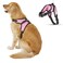 Copatchy No Pull Reflective Adjustable Dog Harness With Handle Comfortable Soft All Weather Mesh Easy On Puppy Harness For Small Medium and Large Dogs Pink Large