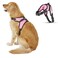 Copatchy No Pull Reflective Adjustable Dog Harness With Handle Comfortable Soft All Weather Mesh Easy On Puppy Harness For Small Medium and Large Dogs Pink Large