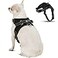 Copatchy No Pull Reflective Adjustable Dog Harness With Handle Comfortable Soft All Weather Mesh Easy On Puppy Harness For Small Medium and Large Dogs Black XSmall