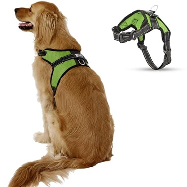 Copatchy No Pull Reflective Adjustable Dog Harness With Handle Comfortable Soft All Weather Mesh Easy On Puppy Harness For Small Medium and Large Dogs Green XLarge