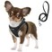 Fida Comfy Dog Harness with Leash Soft Puppy Vest Escape Proof Breathable Lightweight Soft Mesh Adjustable Reflective Stepin Harness for Small Pet Walking S Black