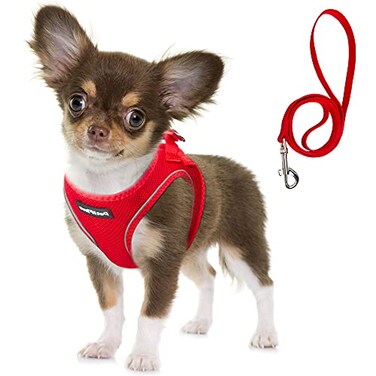 Fida Comfy Dog Harness with Leash Soft Puppy Vest Escape Proof Breathable Lightweight Soft Mesh Adjustable Reflective Stepin Harness for Cat ExtraSmall Pet XS Red