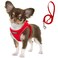 Fida Comfy Dog Harness with Leash Soft Puppy Vest Escape Proof Breathable Lightweight Soft Mesh Adjustable Reflective Stepin Harness for Cat ExtraSmall Pet XS Red