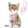 Fida Cat Harness and Leash Set for Walking Kitten and Puppy Escape Proof Kitten Harness with Breathable Lightweight Soft Mesh Adjustable Reflective Stepin Design XXXS Pink