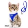Fida Cat Harness and Leash Set for Walking Kitten and Puppy Escape Proof Kitten Harness with Breathable Lightweight Soft Mesh Adjustable Reflective Stepin Design for Kitten and PuppyXXXS Blue