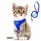 Fida Comfy Dog Harness with Leash Cat Vest Harness Escape Proof Breathable Lightweight Soft Mesh Adjustable Reflective Stepin Harness for Puppy Toy Breeds ExtraSmall Pet XXS Blue
