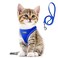 Fida Comfy Dog Harness with Leash Cat Vest Harness Escape Proof Breathable Lightweight Soft Mesh Adjustable Reflective Stepin Harness for Puppy Toy Breeds ExtraSmall Pet XXS Blue